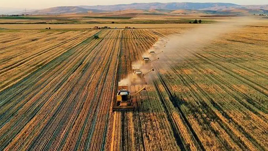 Türkiye'nin tarımsal hasılası 68,5 milyar dolara ulaştı