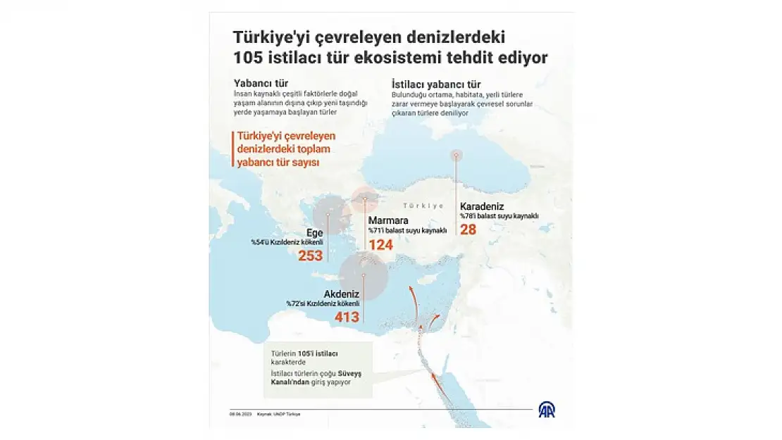 Türkiye'yi çevreleyen denizlerdeki 105 istilacı tür ekosistemi tehdit ediyor