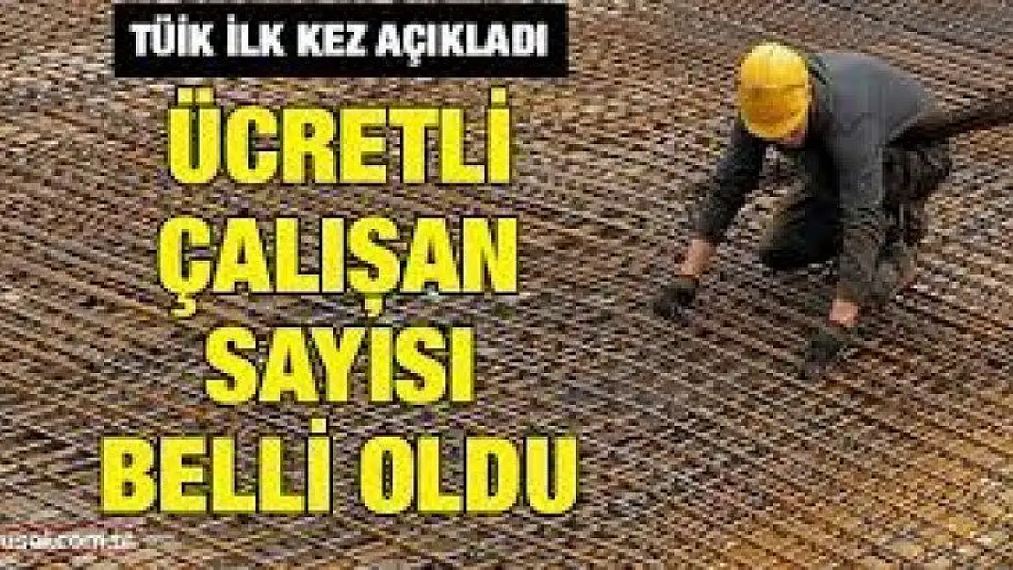 Ücretli çalışan sayısı yıllık yüzde 7,5 arttı