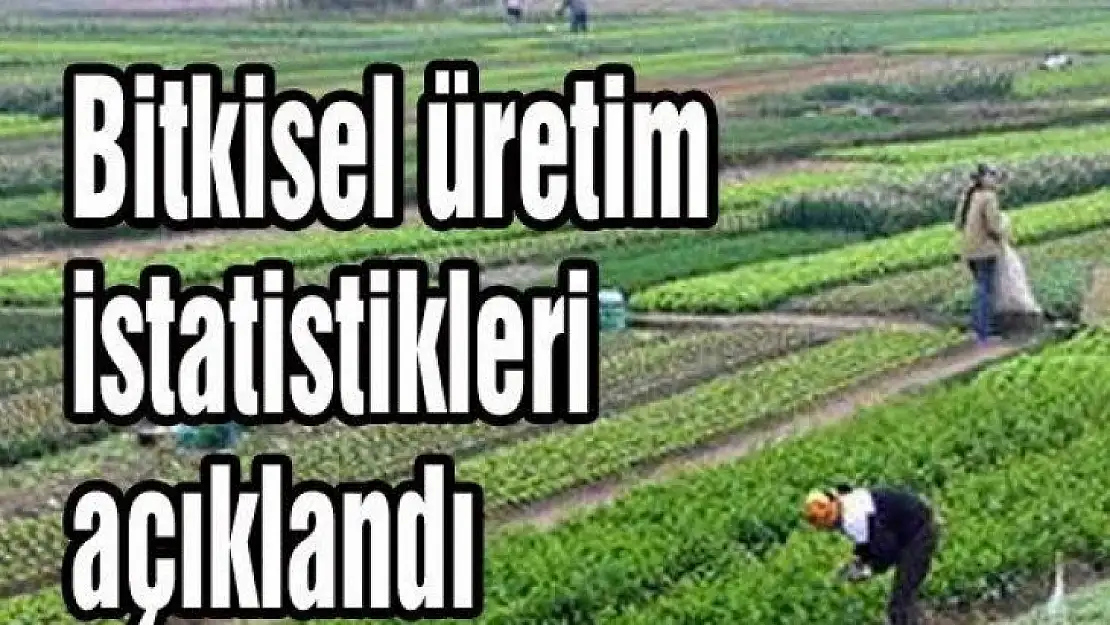 Ülkemizde tahıllar ve diğer bitkisel ürünler bir önceki yıla göre azaldı.