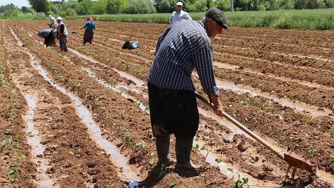 Üreticilere 5,1 milyar lira destekleme ödemesi yapılacak