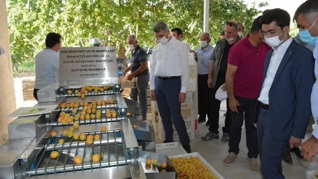 Vali Baruş 'Kayısı Boylama Makinesi' Hibe Programına Katıldı