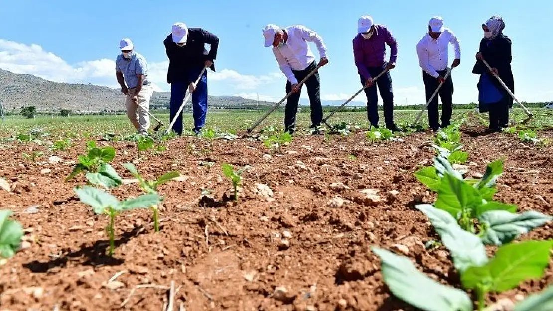 Yeşilyurt'ta Tarımsal Üretim Ve Ar-Ge Sahası Kurdu