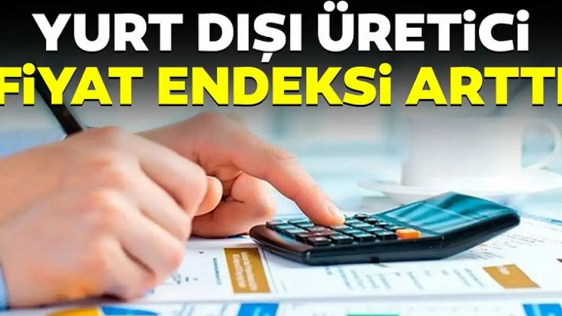 Yurt Dışı Üretici Fiyat Endeksi Arttı