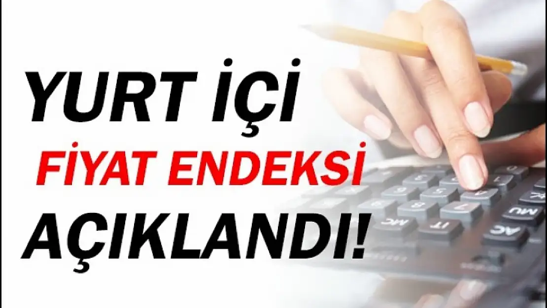 Yurt İçi Üretici Fiyat Endeksi Açıklandı