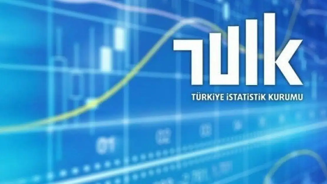 Yurt içinde ikamet eden 5 milyon 977 bin kişi seyahate çıktı