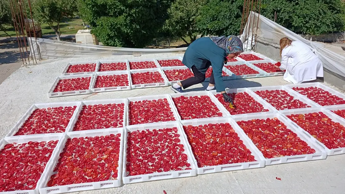 Zeynep Ana Kadın Kooperatifi: Geleneksel Lezzetler Kadınların Emeğiyle Hayat Buluyor