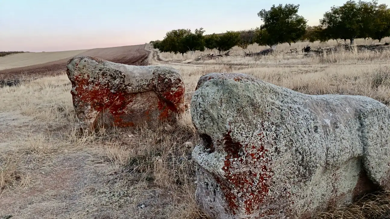 Bozkurt'tan Aslantaş Kararına Tepki