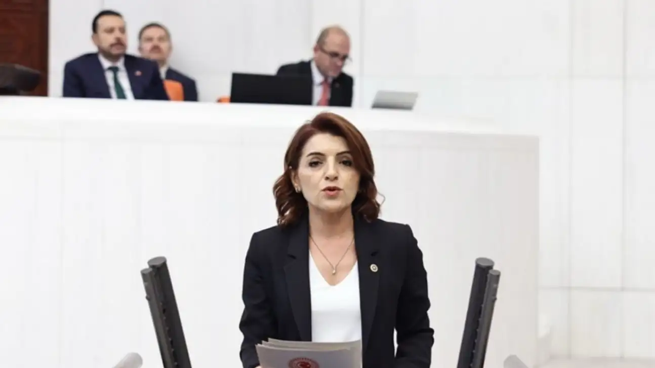 CHP'li Kış: 'Her 4 saniyede bir icra dosyası açılıyor, her 4 saniyede bir umut sönüyor'