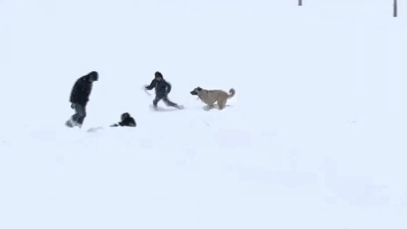 Çocuklar ve Sevimli Misafirden Kar Eğlencesi