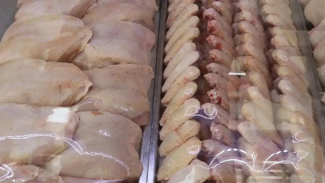 Tavuk Eti Üretimi Arttı, Yumurta Üretimi Geriledi