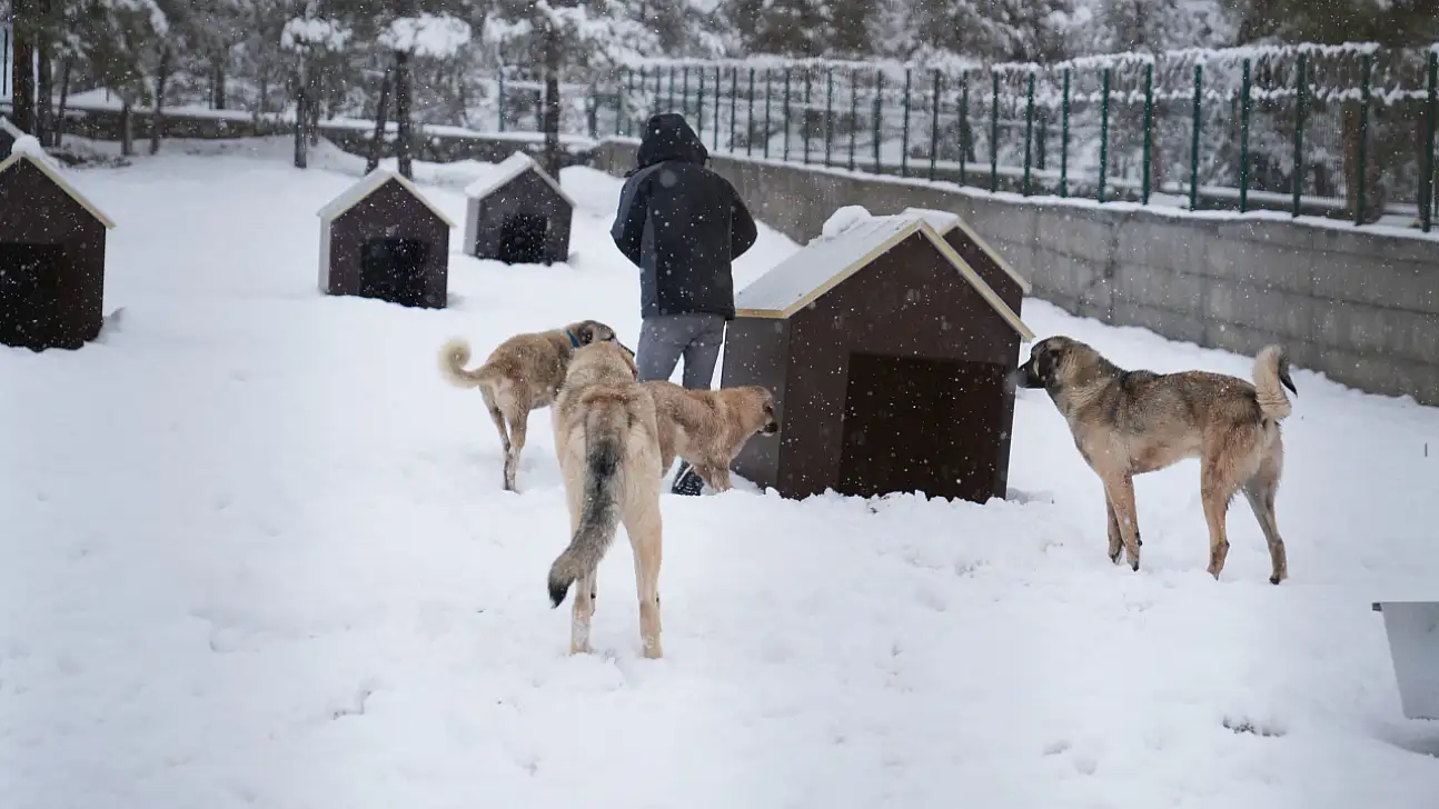 Yeni Hayvan Barınağı Hizmete Girdi