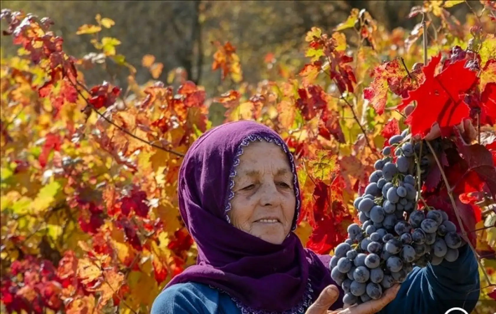 Malatya'da sonbahar renkleri