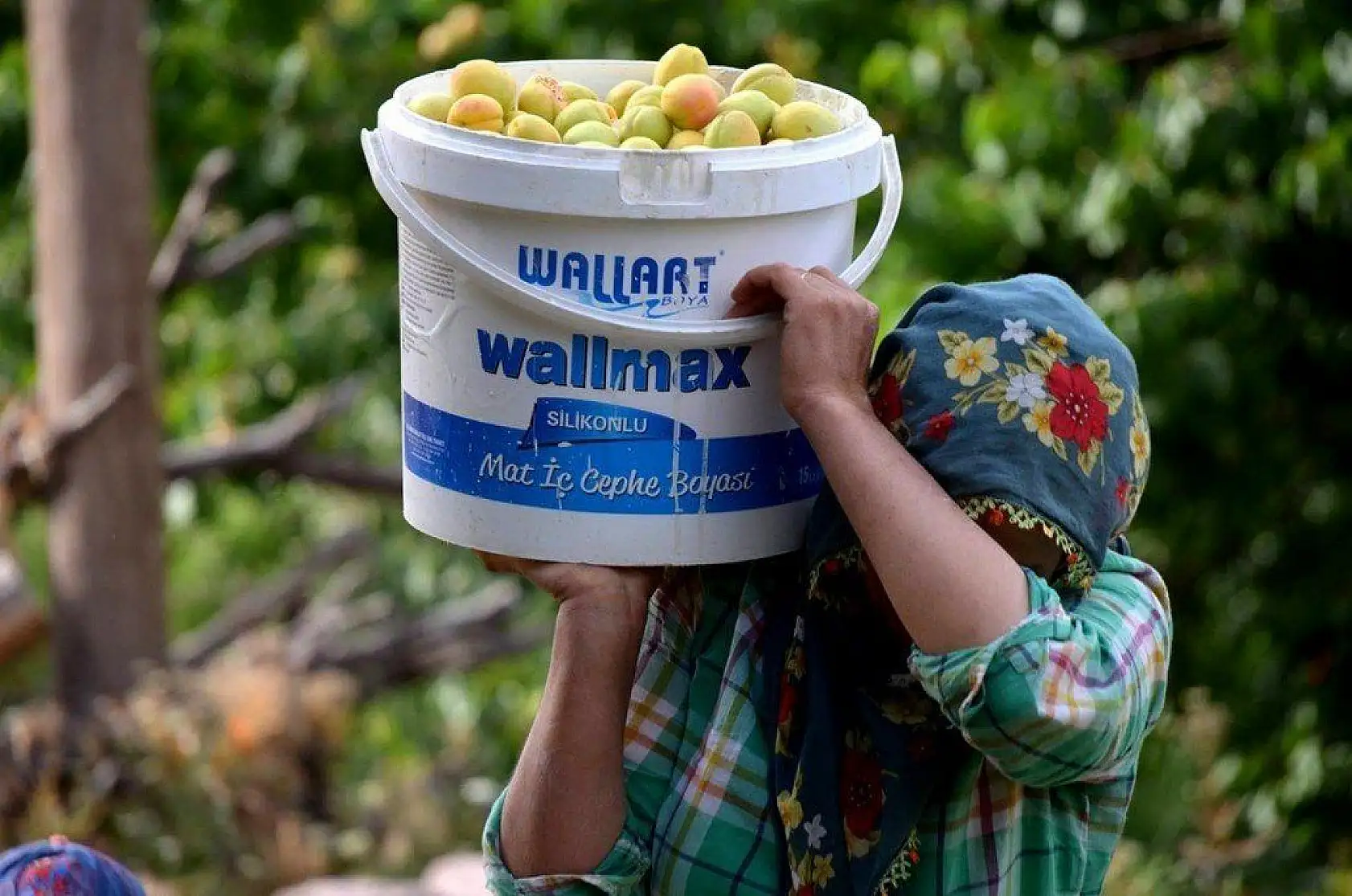 Malatya'dan İnsan Manzaraları