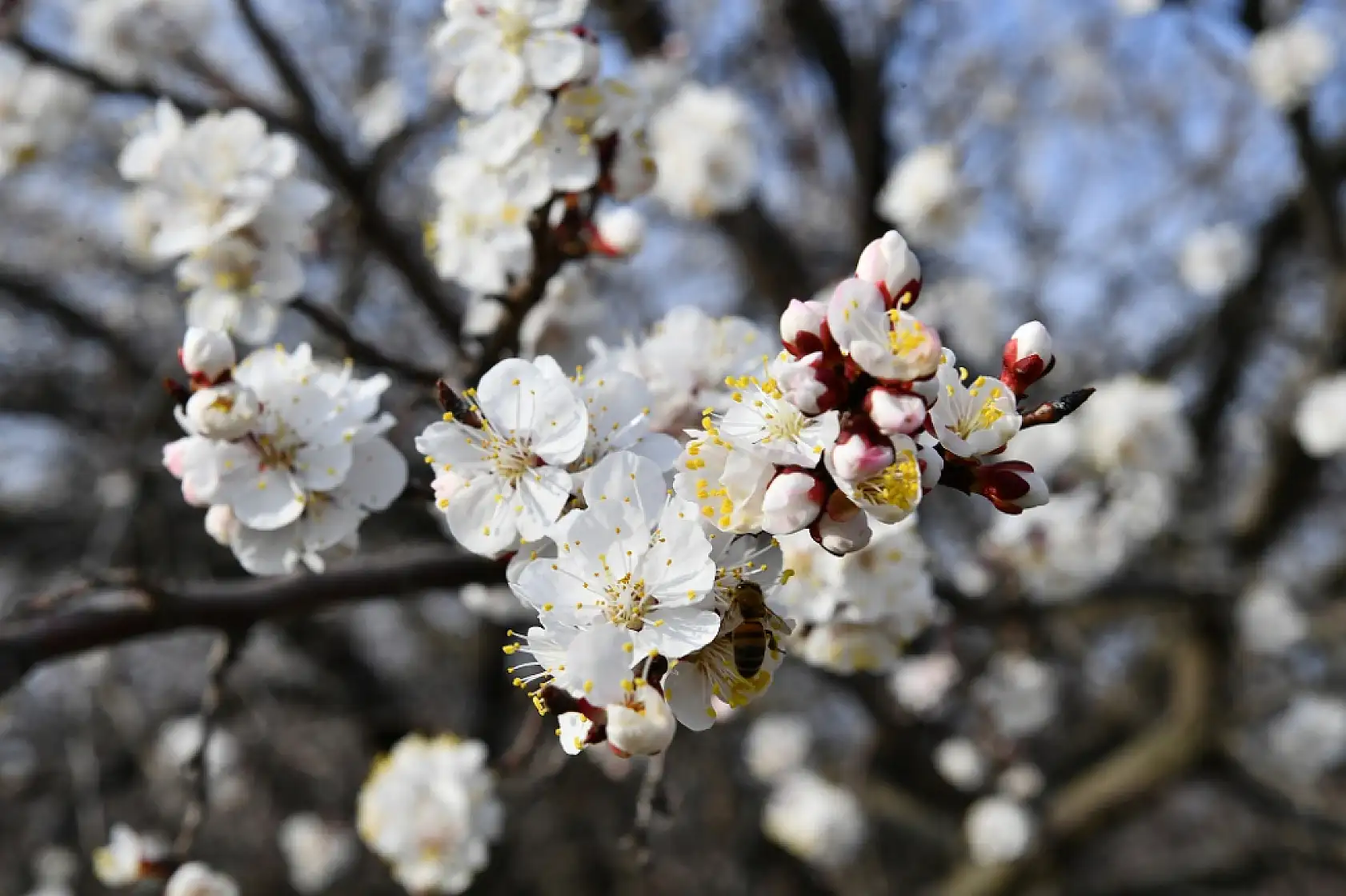 Fotoğraflarla Yeşilyurt