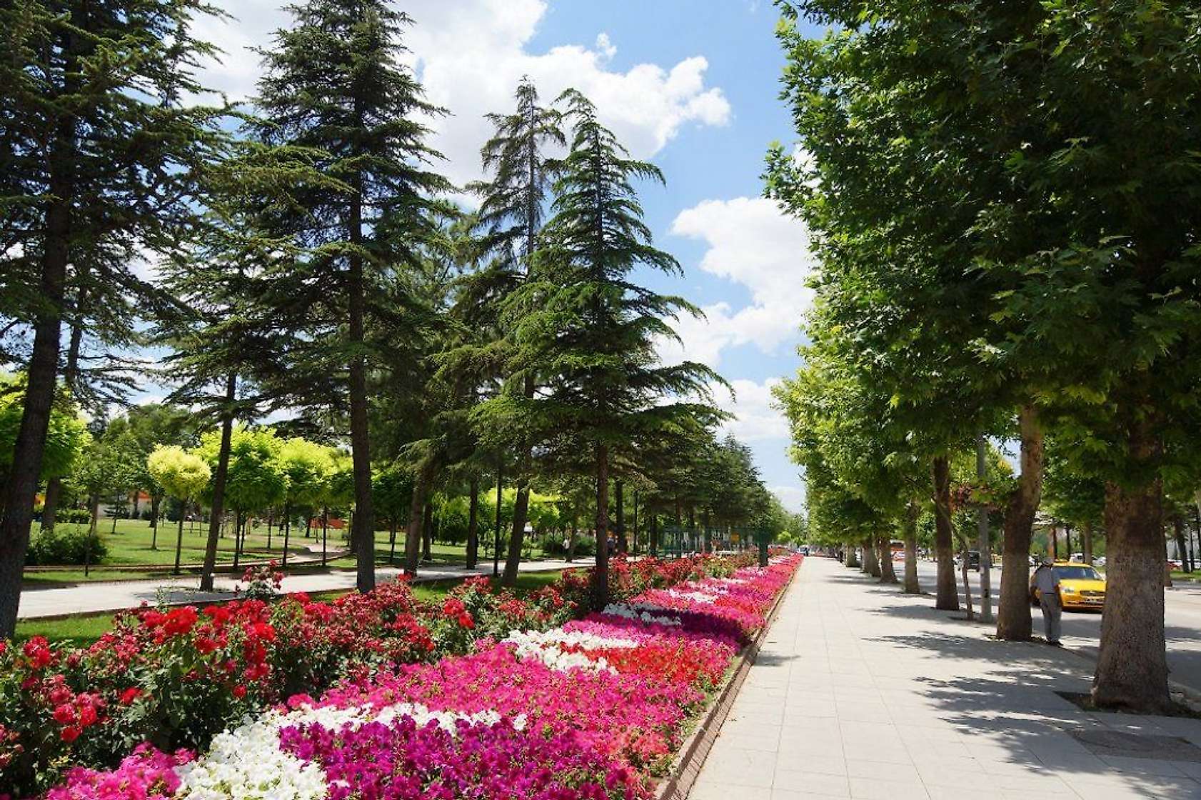 Fotoğraflar ile Yeşilyurt