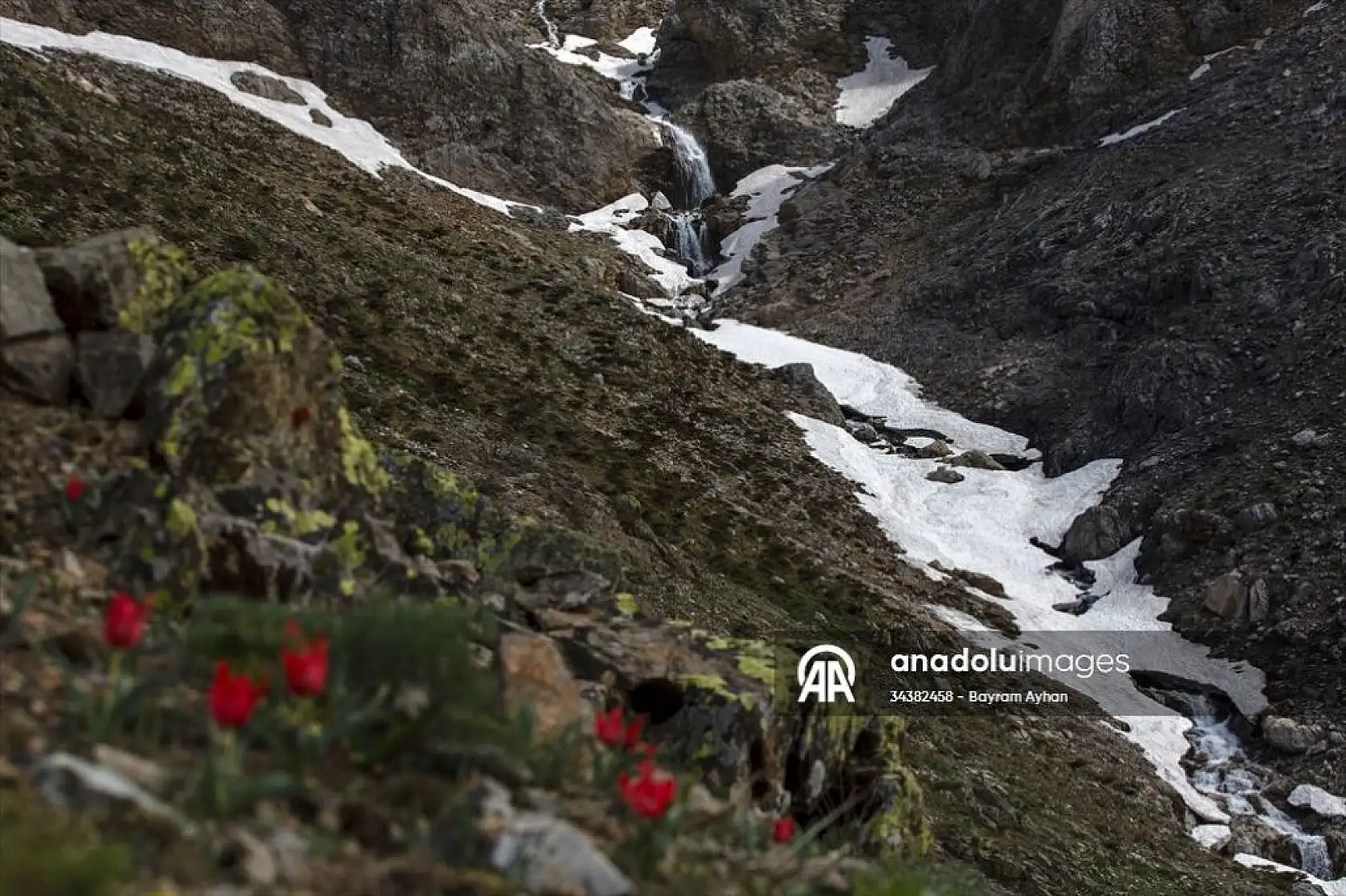 Porga Vadisi doğa tutkunları ve fotoğrafçıların ilgisini çekiyor