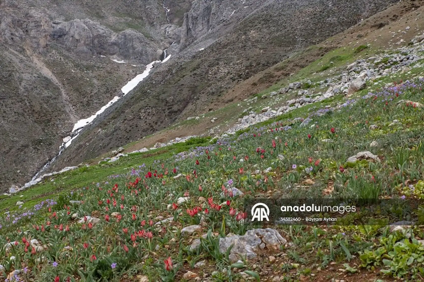 Porga Vadisi doğa tutkunları ve fotoğrafçıların ilgisini çekiyor