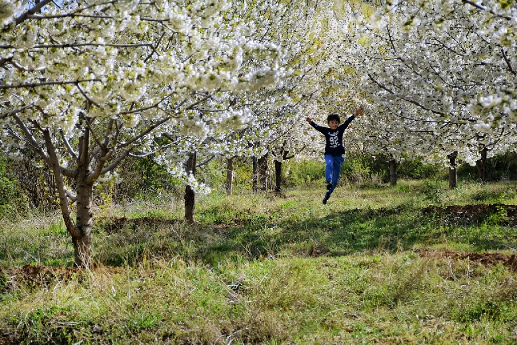 Fotoğraflarla Yeşilyurt