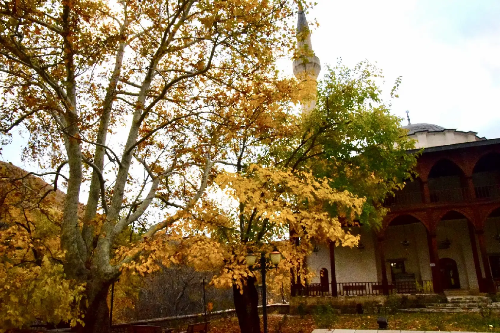 Arapgir'de Sonbahar Büyüsü: FotoKültür Ekibi Renklerin Peşinde