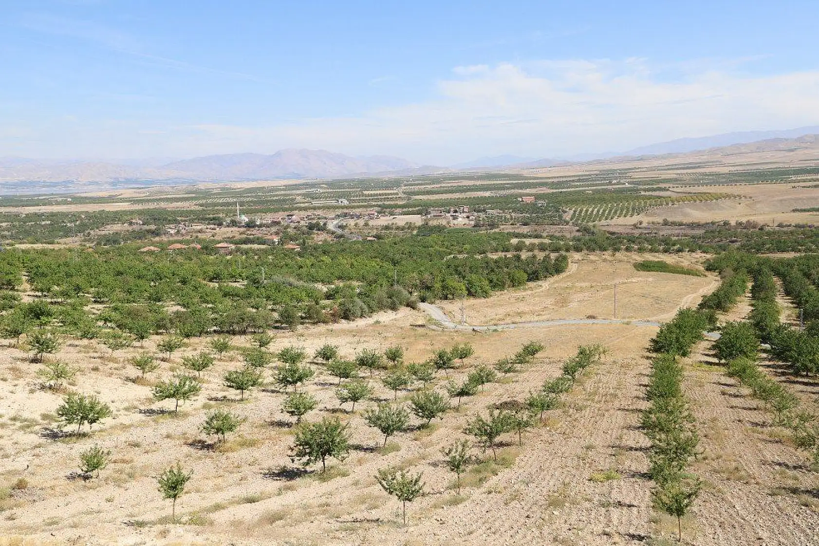 Malatya'dan harika kareler
