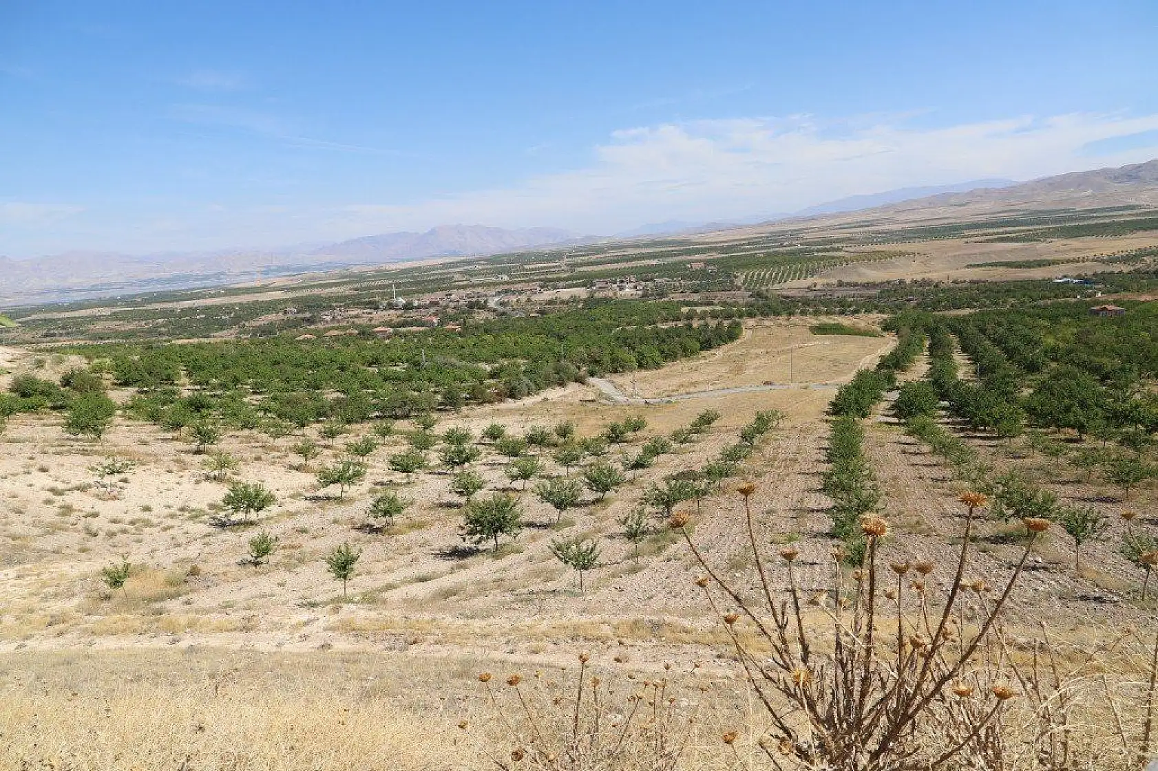 Malatya'dan harika kareler