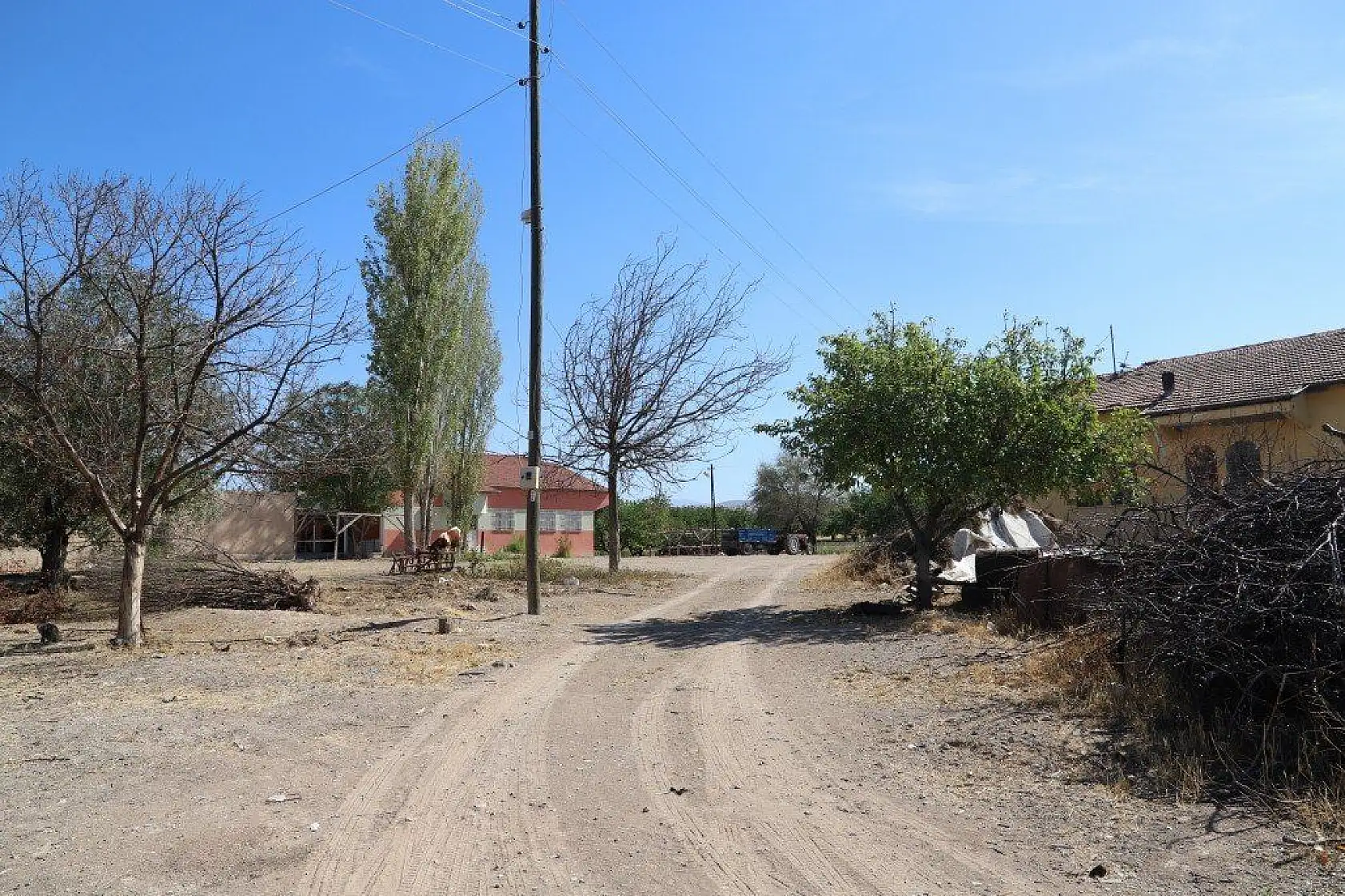 Malatya'dan harika kareler