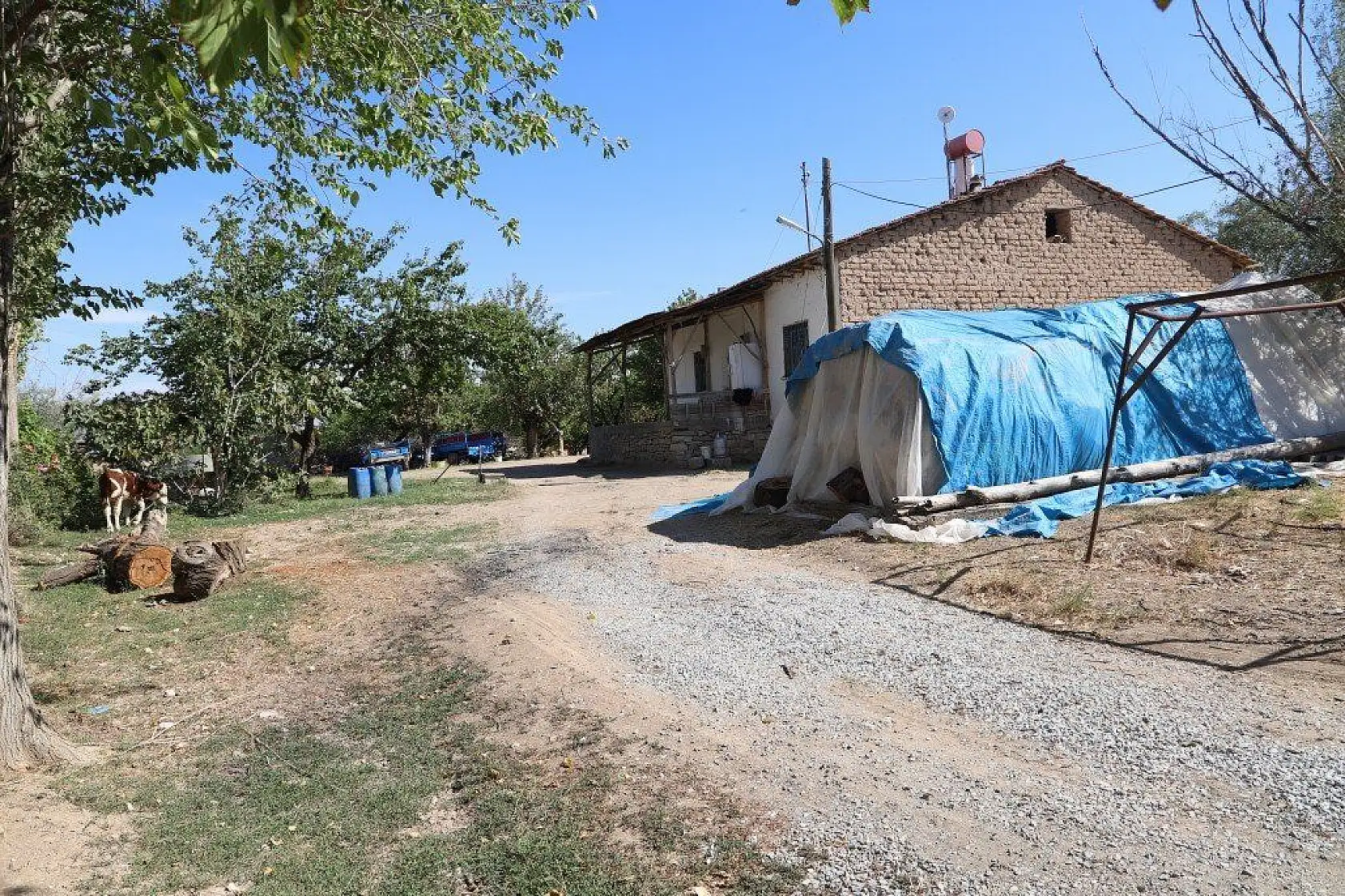 Malatya'dan harika kareler