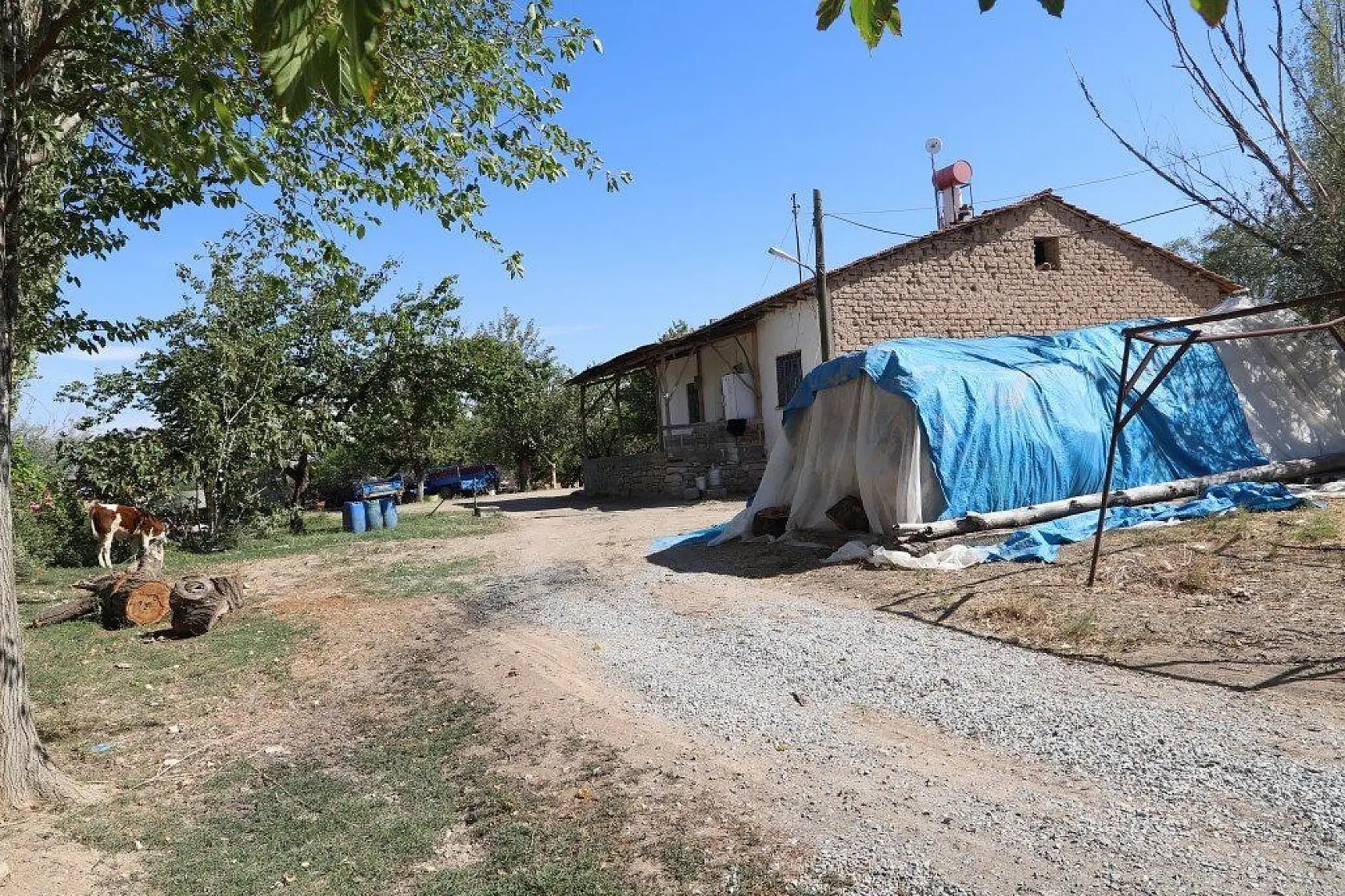 Malatya'dan harika kareler