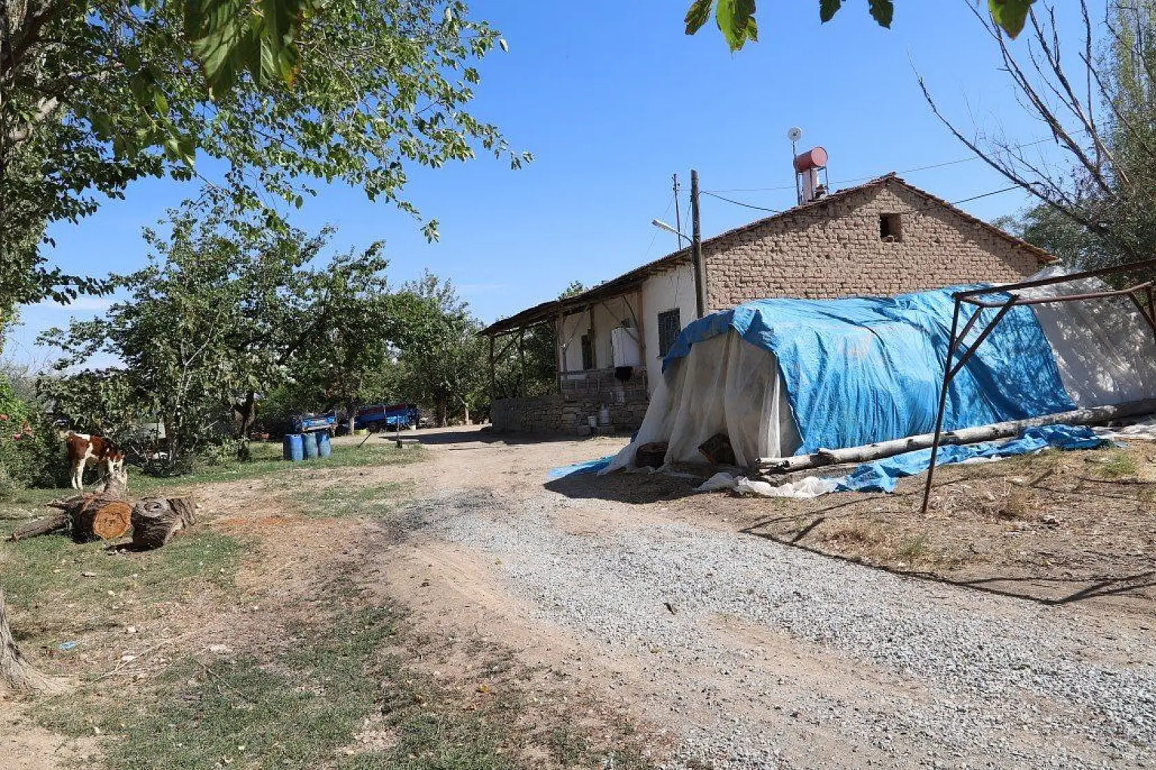 Malatya'dan harika kareler