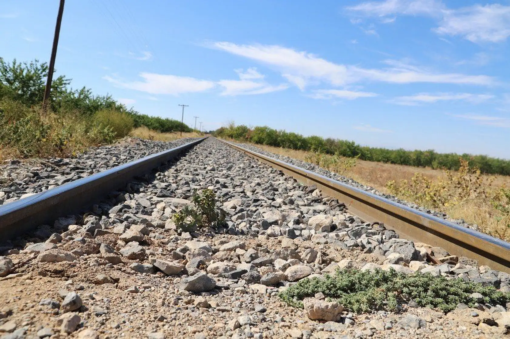 Malatya'dan harika kareler