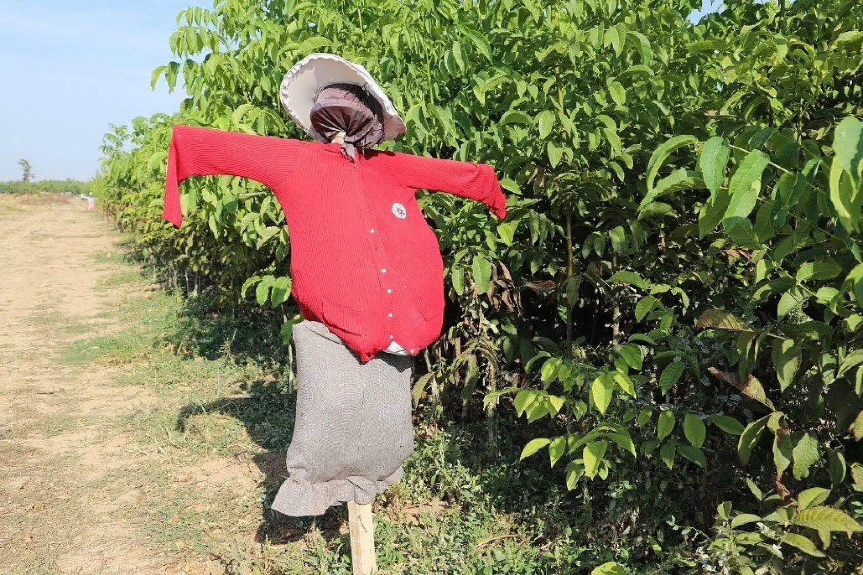 Malatya'dan özel foto