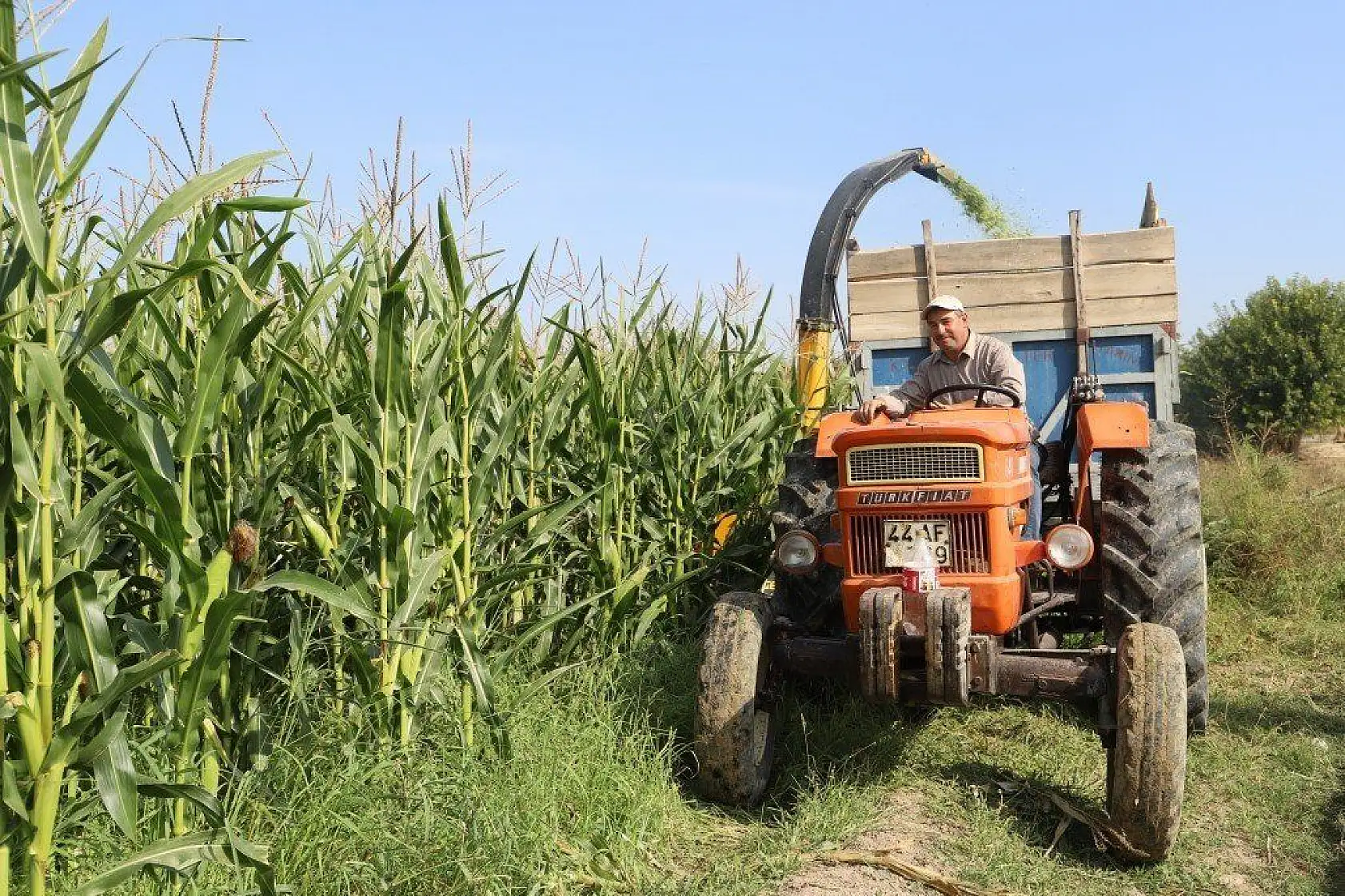 Malatya'dan özel foto
