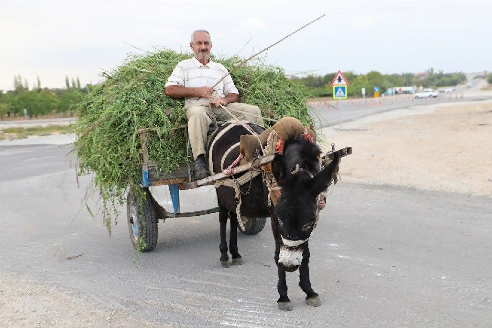 Malatya'dan özel foto