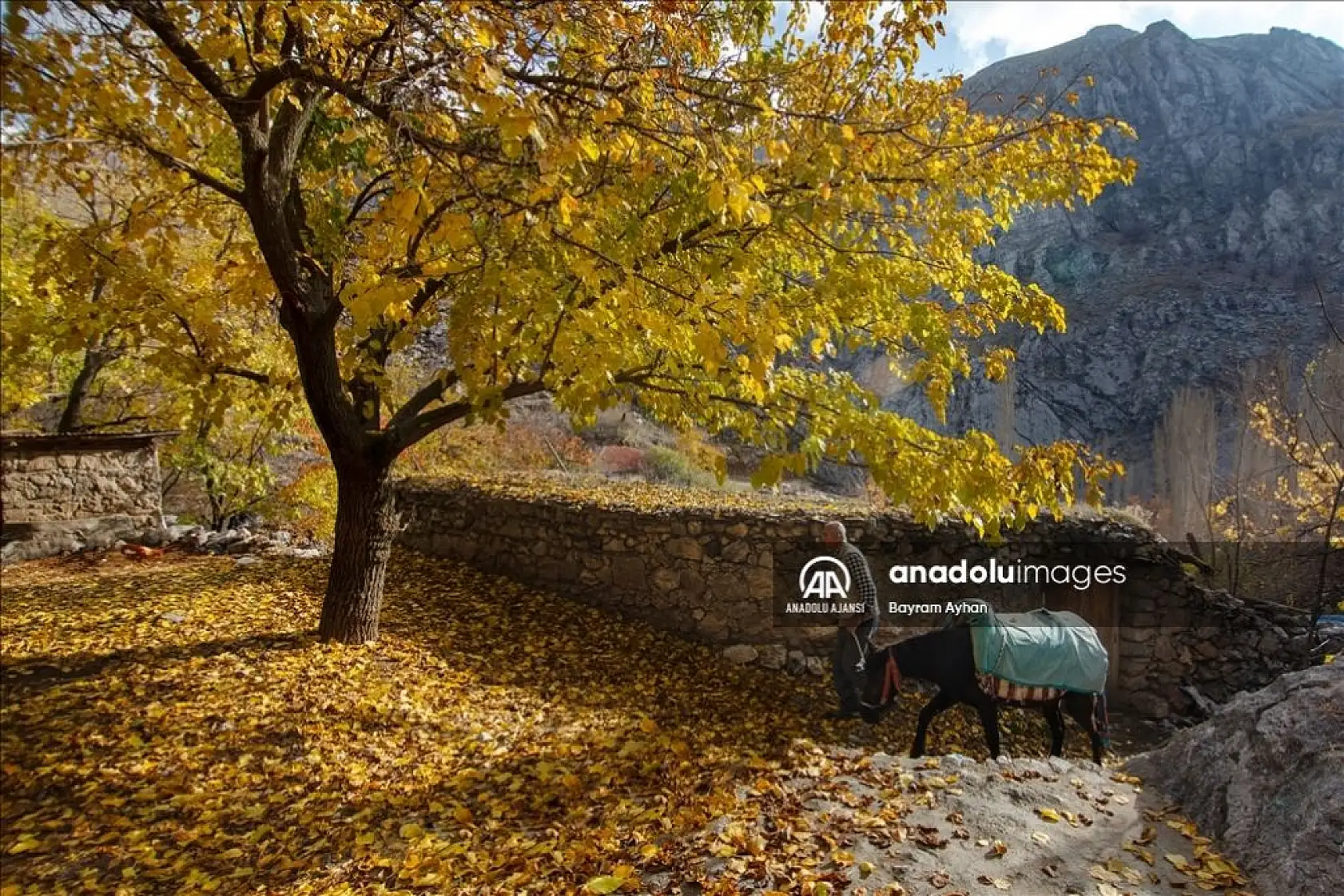 Malatya'da sonbahar renkleri
