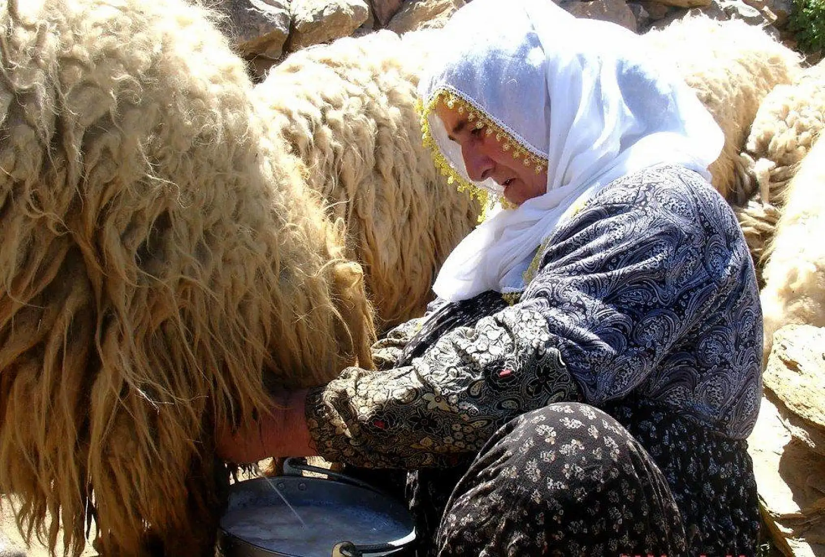 Malatya'dan İnsan Manzaraları