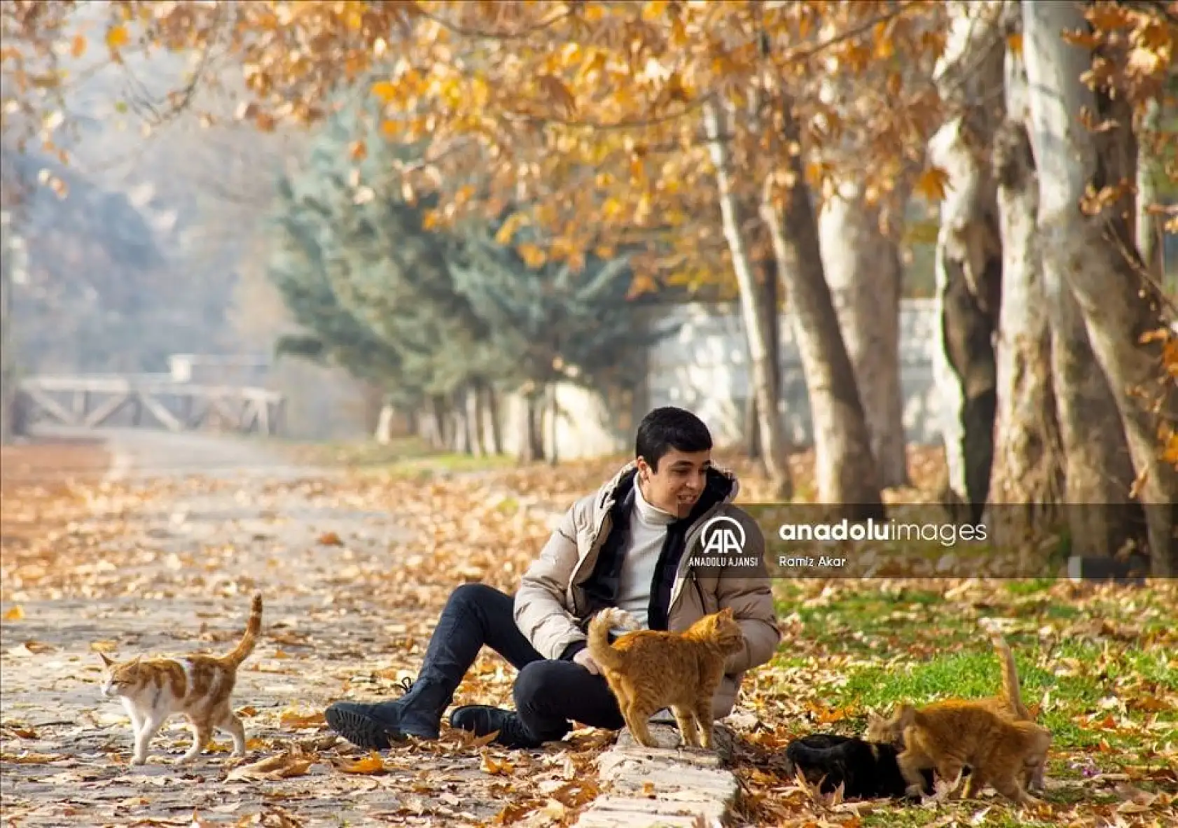 Turgut Özal Tabiat Parkı'nda sonbahar renkleri hakim oldu