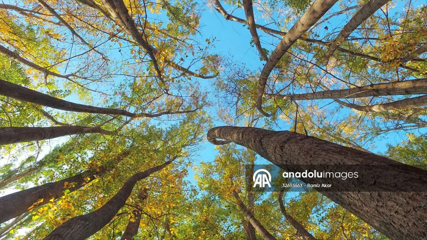 Malatya'da sonbahar renkleri hakim oldu