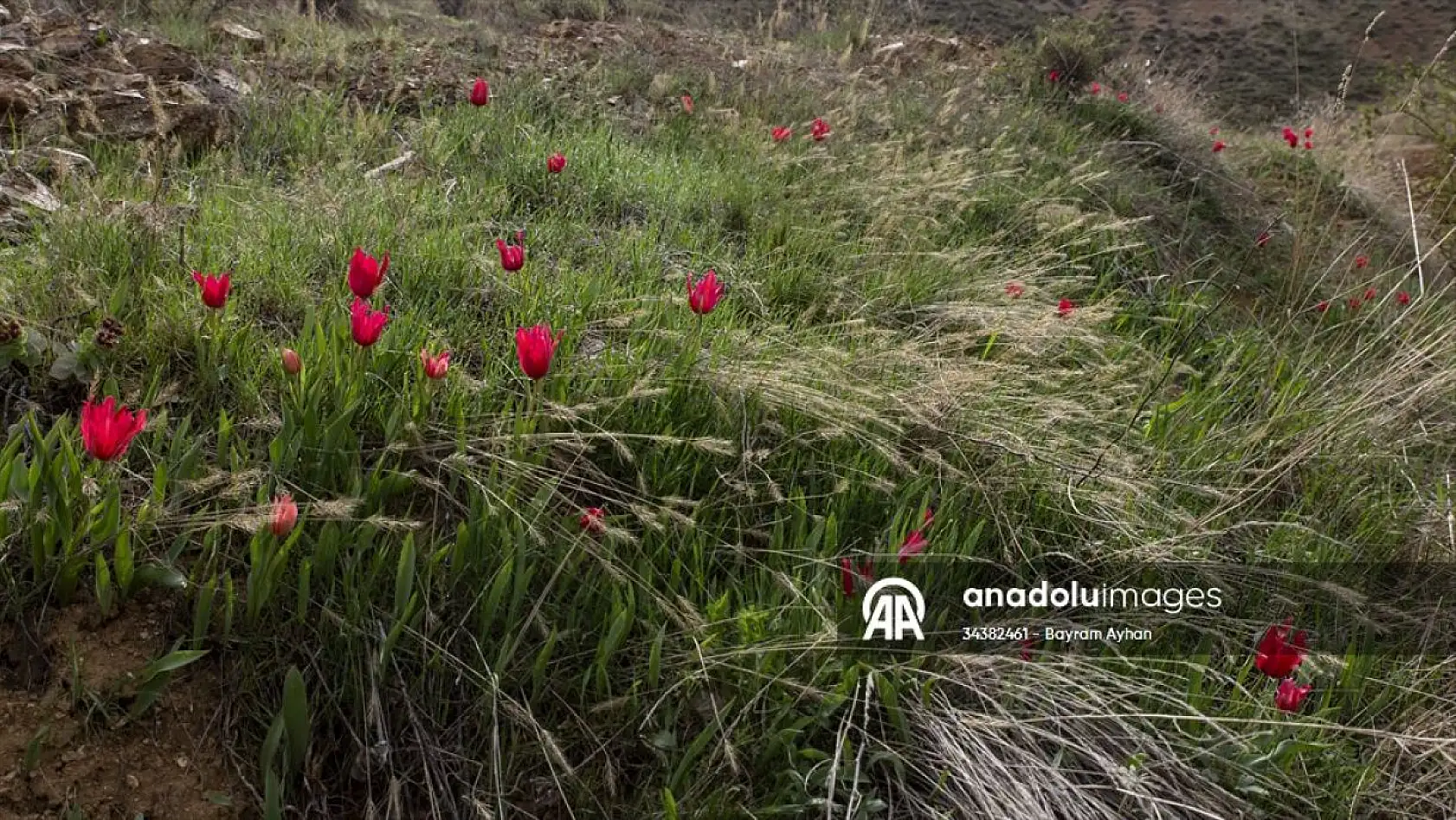 Porga Vadisi doğa tutkunları ve fotoğrafçıların ilgisini çekiyor