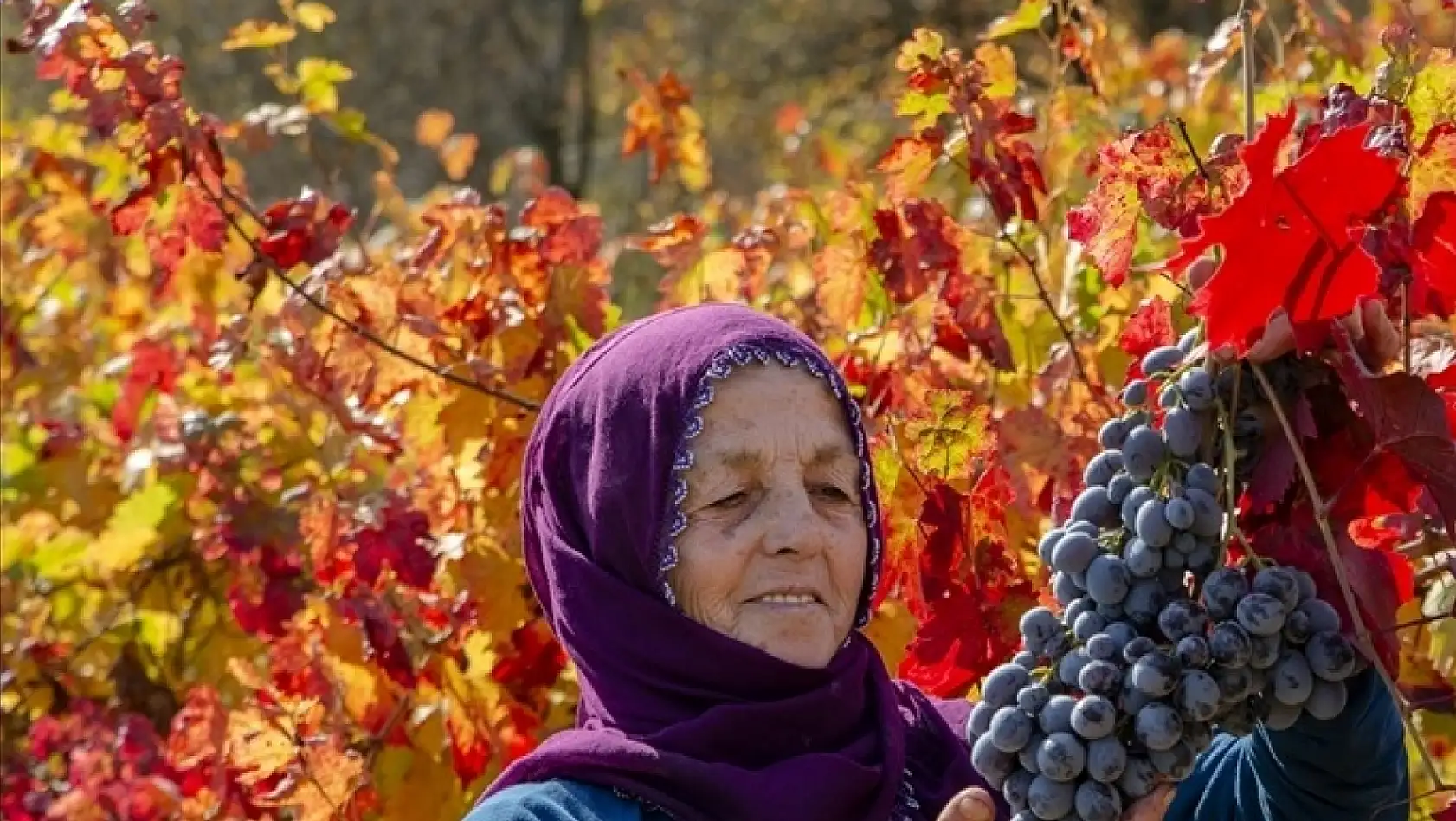 Malatya'da sonbahar renkleri