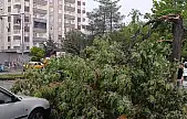 Doğu ve Güneydoğu için toz taşınımı ve fırtına uyarısı