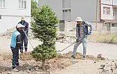 Dolamantepe Mahallesi'nde Park ve Yol Düzenlemesi
