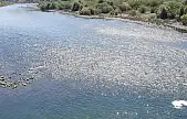 Elazığ'da nehre giren adam kayboldu