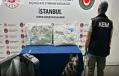 Gümrükler Muhafaza ekiplerinden üç ilde 9 uyuşturucu operasyonu