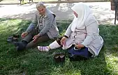 Güneydoğu'da kavurucu sıcaklar kapıda: Termometreler 44 dereceyi gösterecek