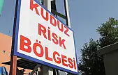 Hatay'da kuduz karantinası