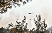 İzmir'de orman yangınlarıyla mücadele sürüyor