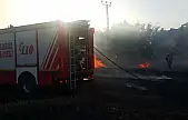 Silivri'de ormanlık alanda yangın
