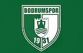 Süper Lig'e veda eden son takım Bodrum oldu