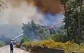 Suriye'nin kıyı kesimlerinde orman yangını: 30 hektardan fazla alan yandı